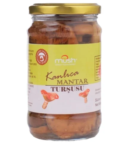 Mush Kanlıca Mantar Turşusu 320 GR