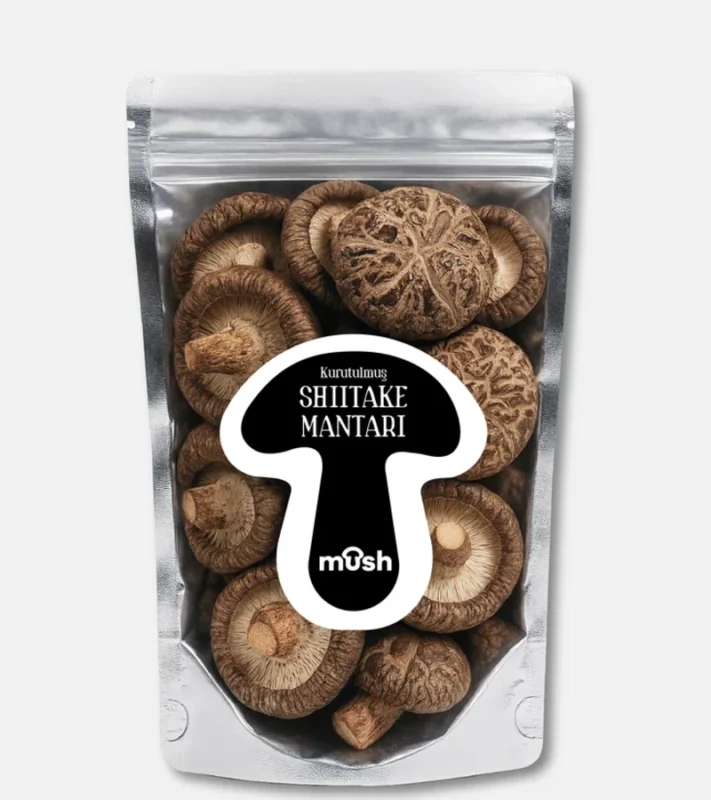 SHIITAKE MANTARI